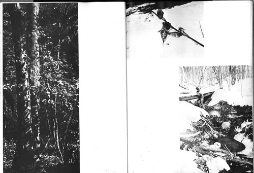 page_50_Barlow_Yearbook_1970